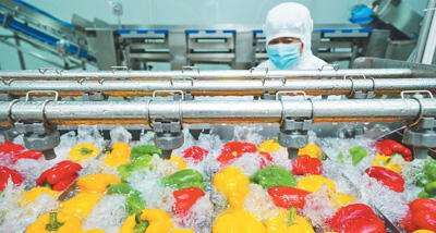 做大做強農產品加工業 推動農業現代化轉型