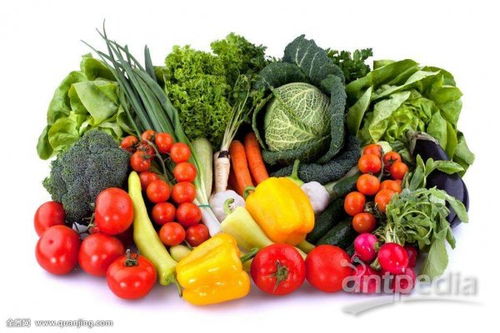 海南農產品品質再創新高，去年合格率突破99.54%