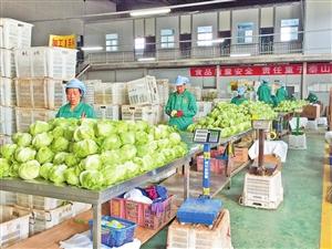 春華秋實 以質量與信用助力農產品走向世界