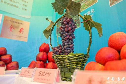 天水花牛蘋果與各縣區特色農產品展示展銷活動掠影