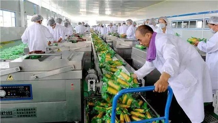 大農推介 農產品深加工，開啟致富新篇章