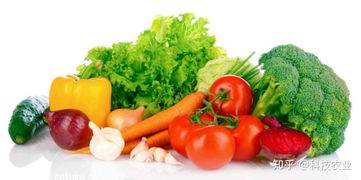 免費試用 屢獲殊榮的睿農寶r農產品可視化追溯系統為農場產銷助力