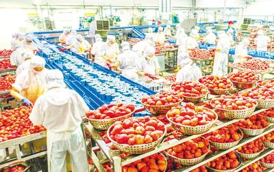 湖北農產品加工業規模壯大，產業鏈融合發展穩步推進