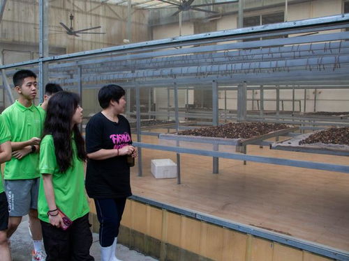 白河遠航，數智揚帆——西北大學調研隊助力農產品升級與農民數智技能提升