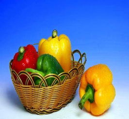 龍崗綠色食品配送 有機蔬菜批發與農產品供應鏈的領航者