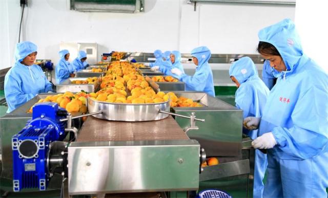 三都農(nóng)產(chǎn)品深加工項(xiàng)目正式投產(chǎn)，開(kāi)啟鄉(xiāng)村振興新篇章